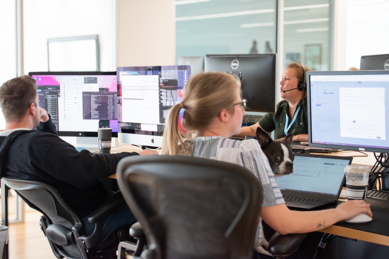 Office workers at desks with multiple monitors, one holding a black-and-white dog on their lap, in a bright, modern workspace.